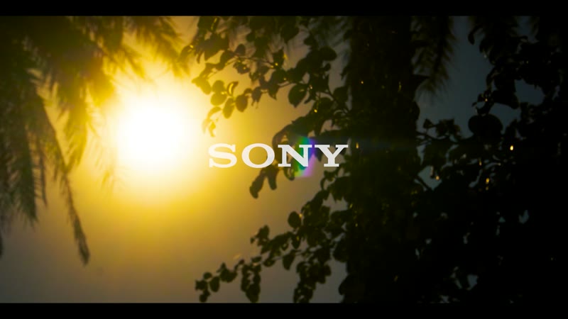 Music video production by Visual Synac