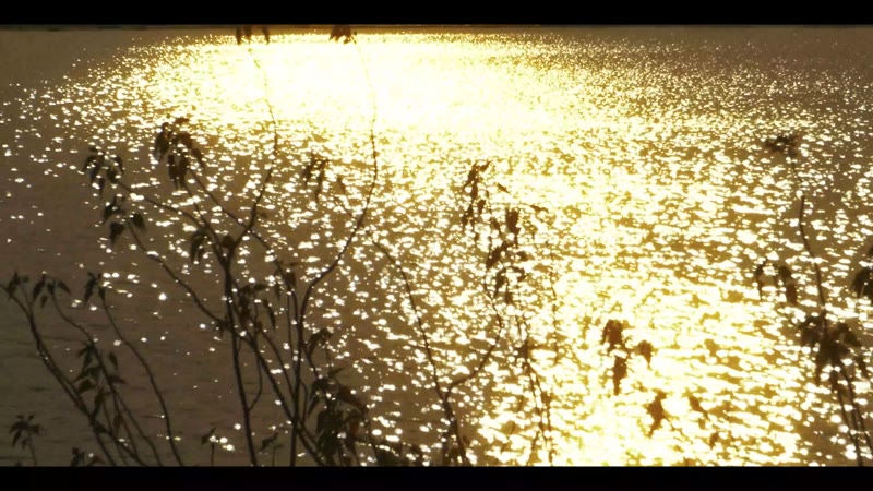 Music video production by Visual Synac
