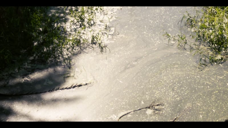 Music video production by Visual Synac
